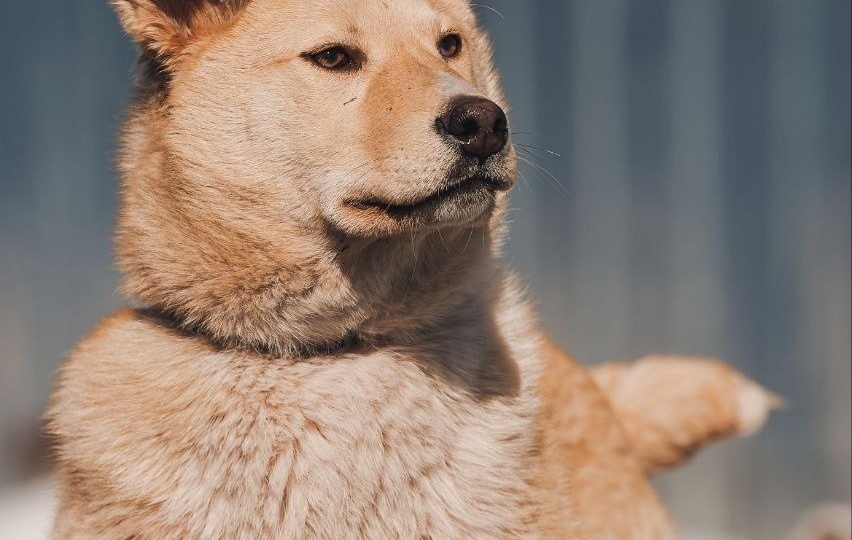 Единственный выживший ждет свою семью 🥺