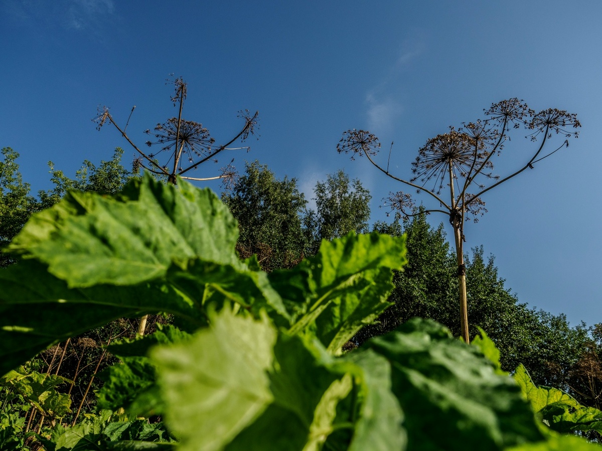    Фото: Александр Губарев Юра Белый
