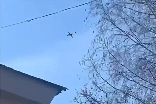    Источник: lenta.ru/ Дмитрий