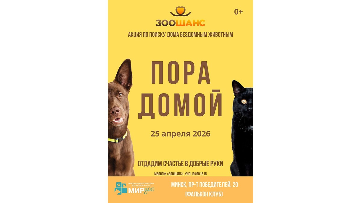    Не пропустите свой шанс найти верного друга