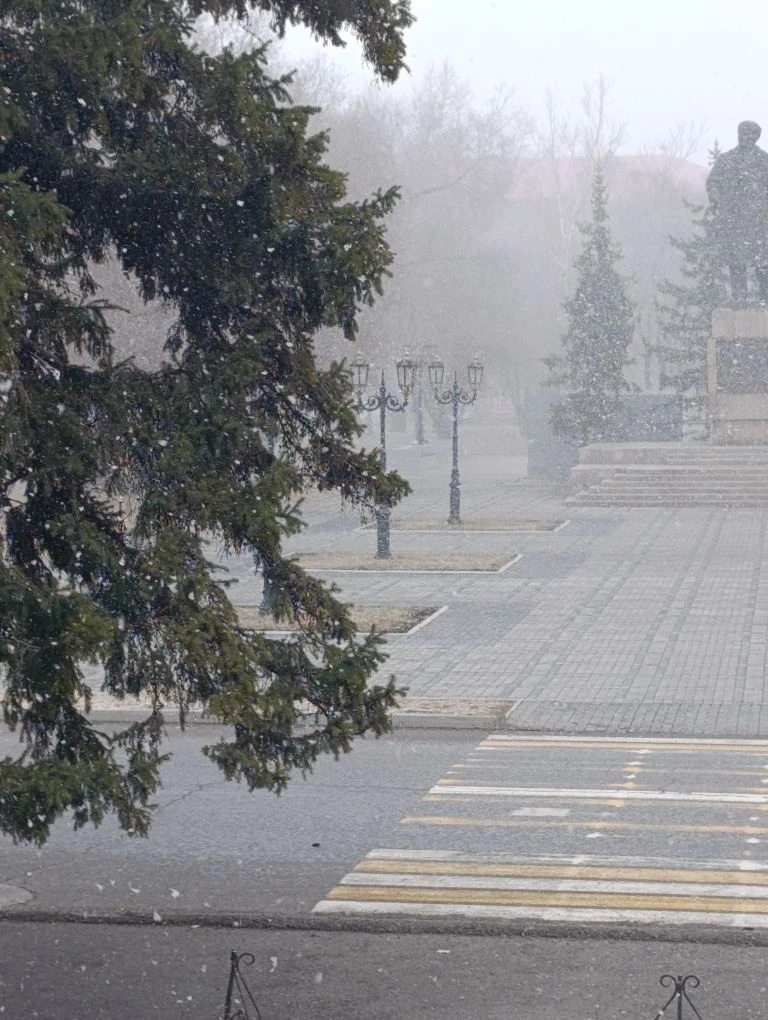 Весенний снег в городе