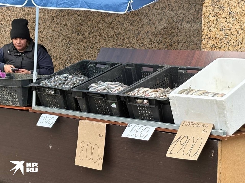    В городе открылись официальные точки продажи корюшки. Эта, например, у станции метро "Академическая". Мелкую, для котика, можно взять и за 300! Вероника ОВСЯННИКОВА