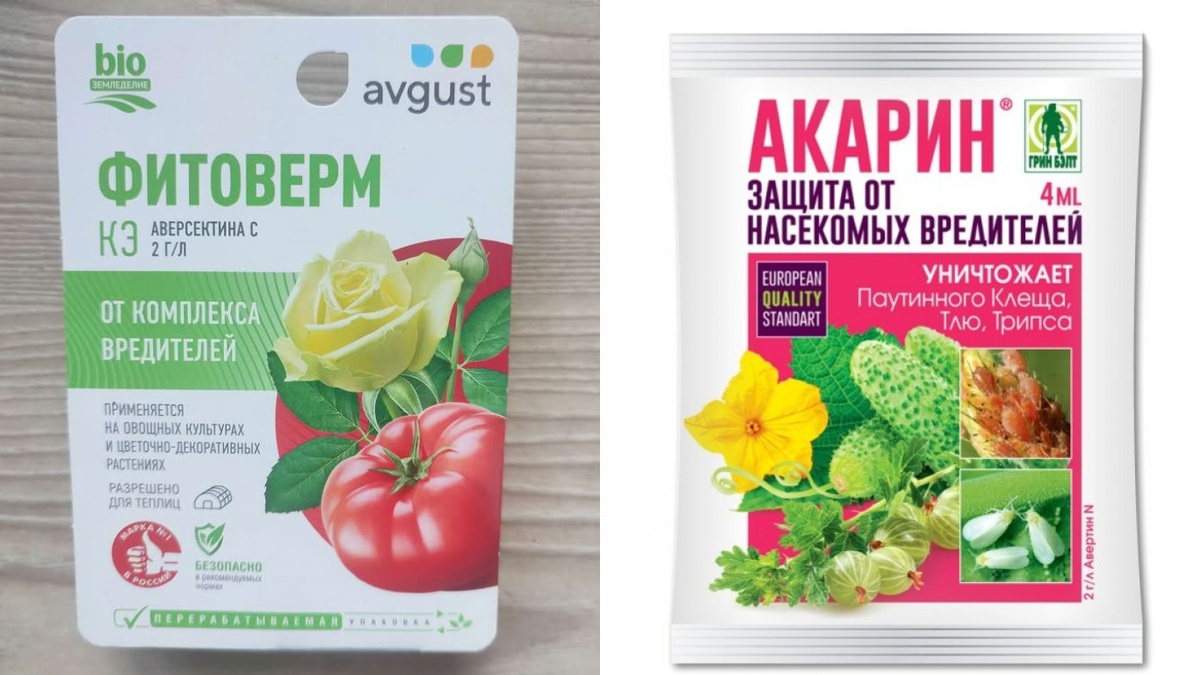 Эти препараты не достают клеща внутри почки — он просто недоступен для контактного действия.