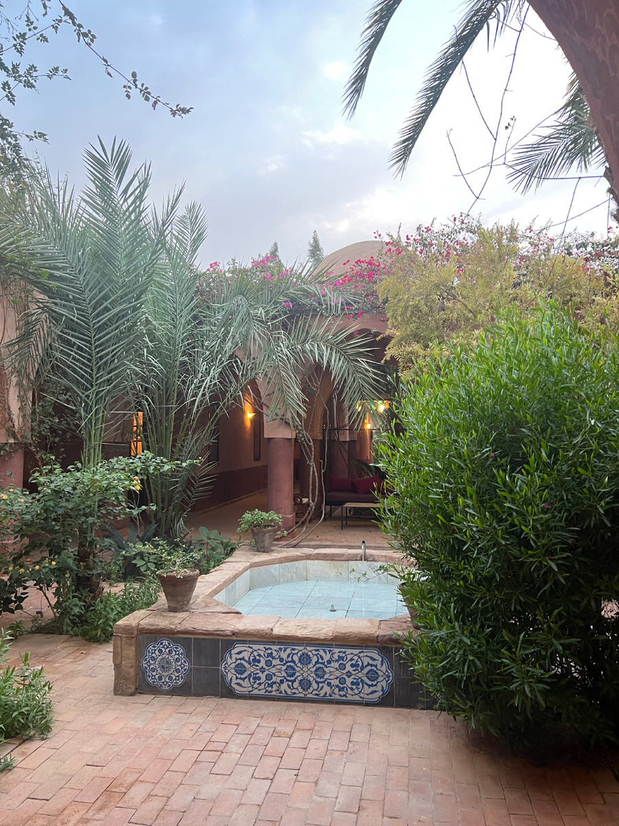 Al Moudira hotel, west bank, Луксор. Фото автора. 2026