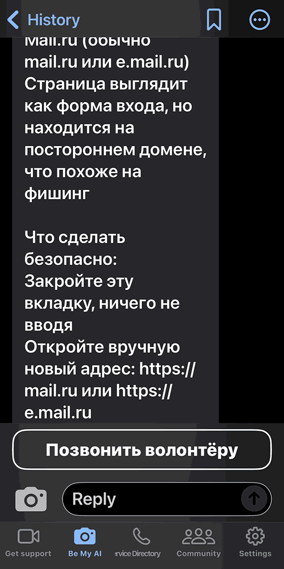 Функция Be My AI объясняет, почему страница выглядит похожей на фишинговую: домен отличается от официального. Приложение рекомендует закрыть вкладку, не вводя логин и пароль, и предлагает вручную ввести верный адрес
