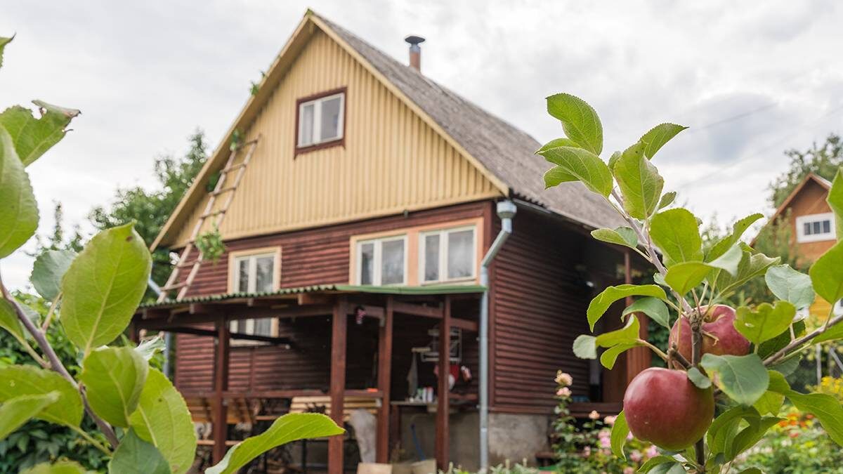    Фото: Shutterstock