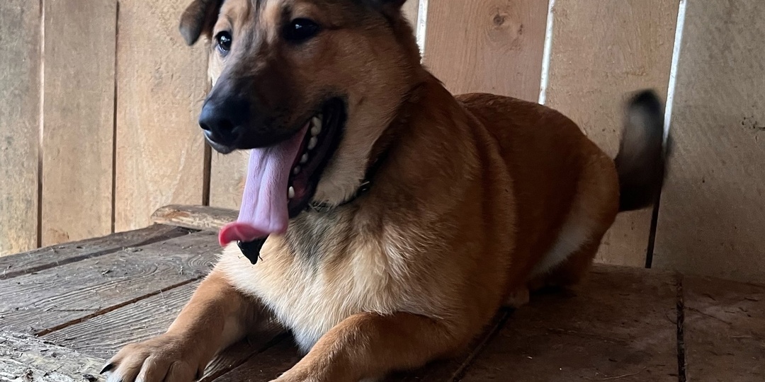 Детство за решеткой: Дарёна, Бадди и Симба ждут своего чуда уже 5 месяцев