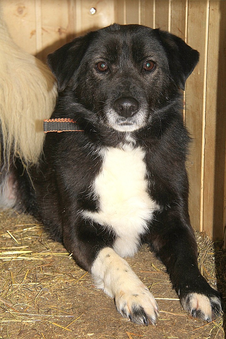 Никому не верю!