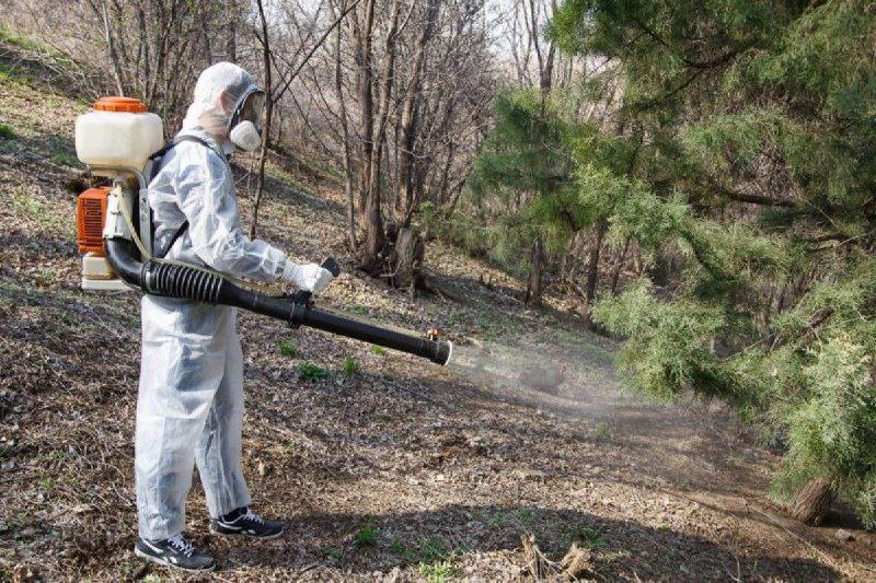 фото с сайта городской администрации https://grad.kostroma.gov.ru