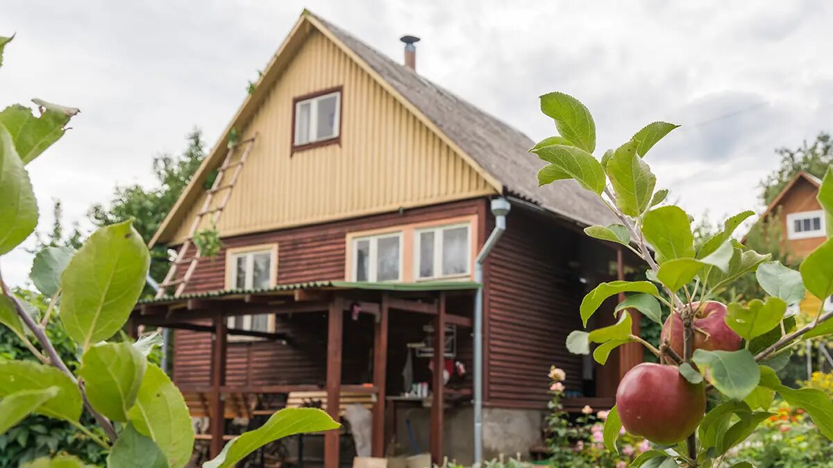    Источник: vm.ru/ Кристина Минаева