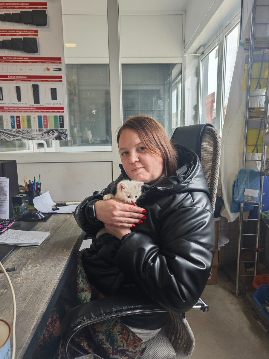 Прибавление 