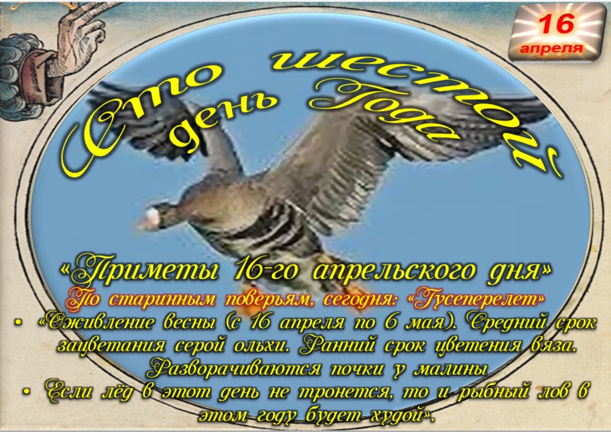 Встречаем новый день