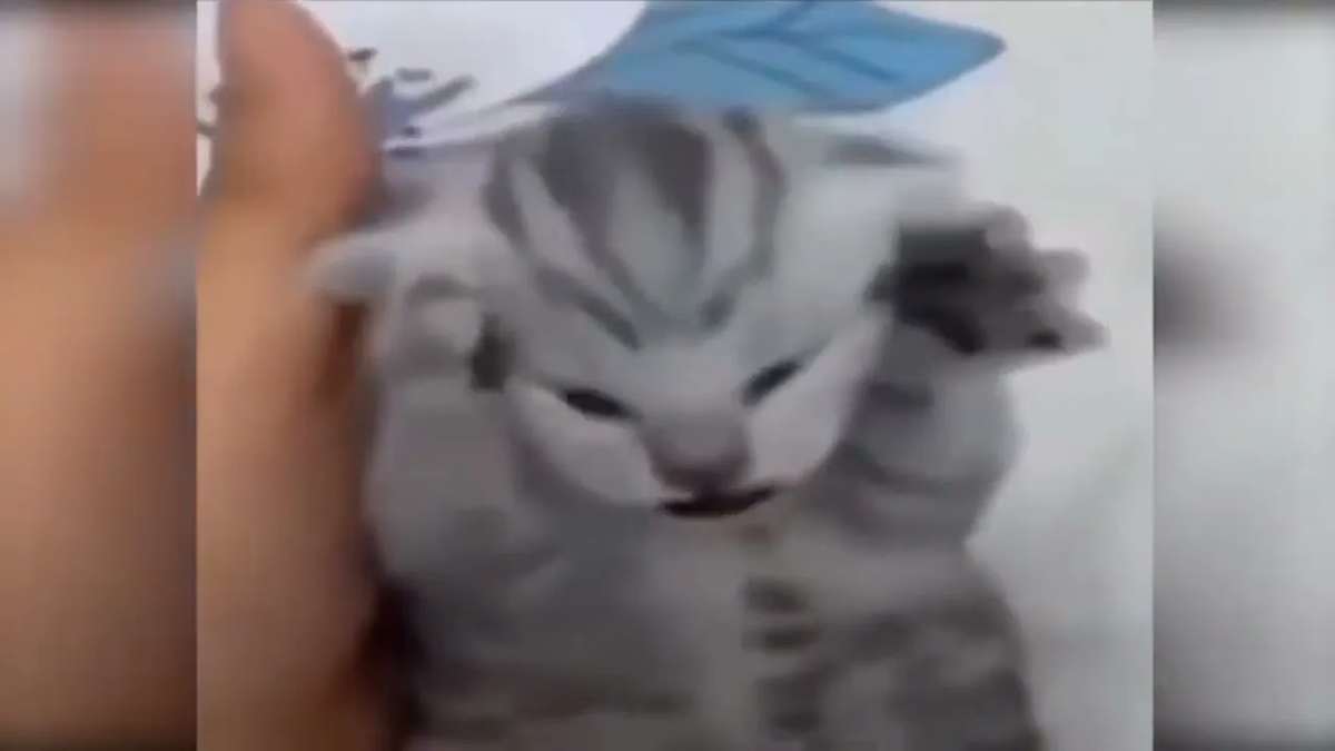 Хочешь найти в интернете что-то интересное, а тебе попадаются только одинаковые тесты "Какое ты печенье?"