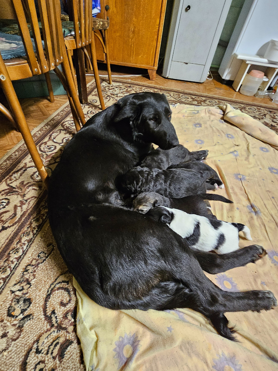 Фото автора. Миля с детками в безопасности.