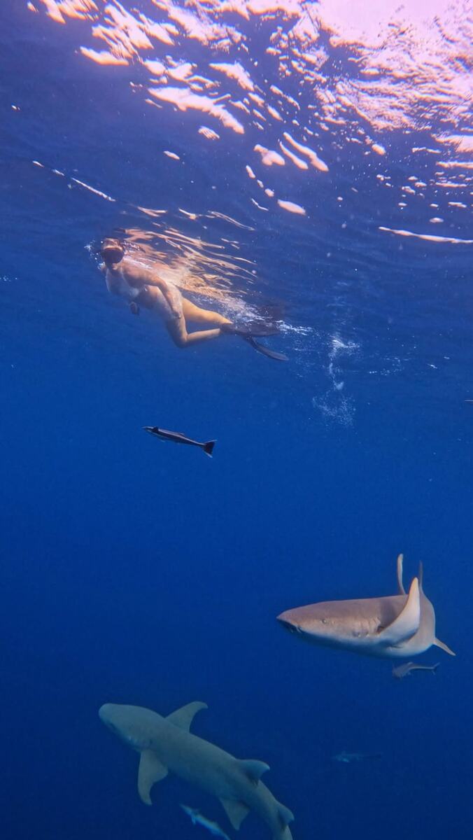 Люся Чеботина