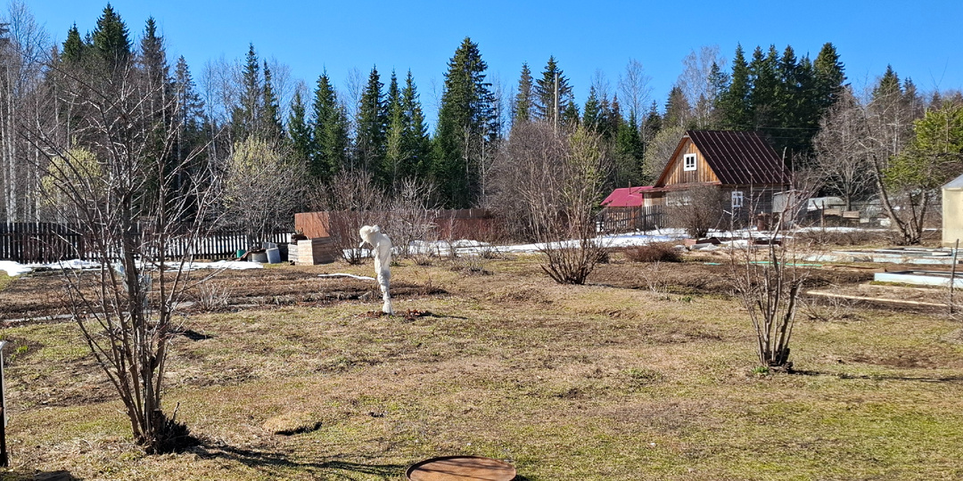 Пишу по настроению