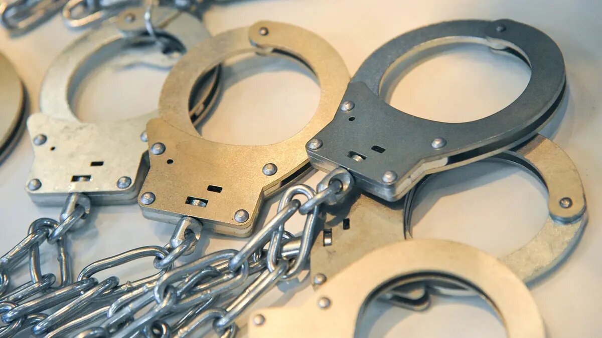    Источник: vm.ru/ Екатерина Авдеева