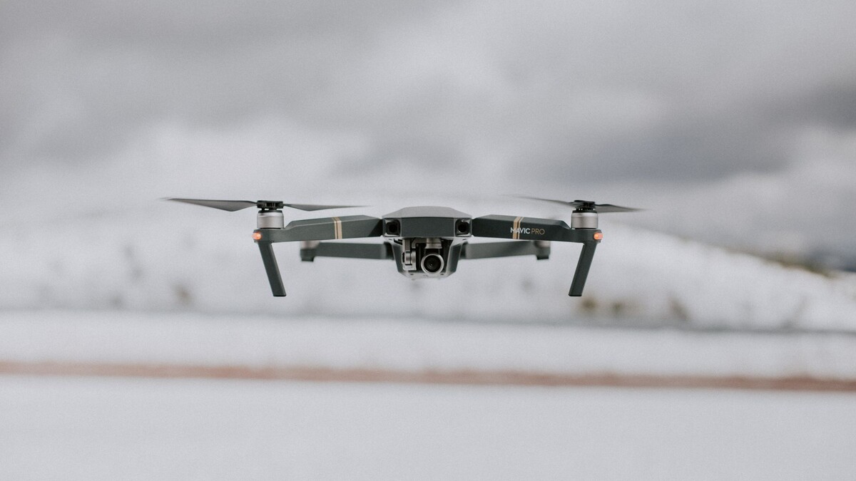   Фото с сайта pxhere.com, СС0