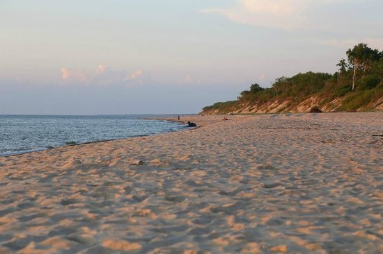 Пляж у посёлка Лесное