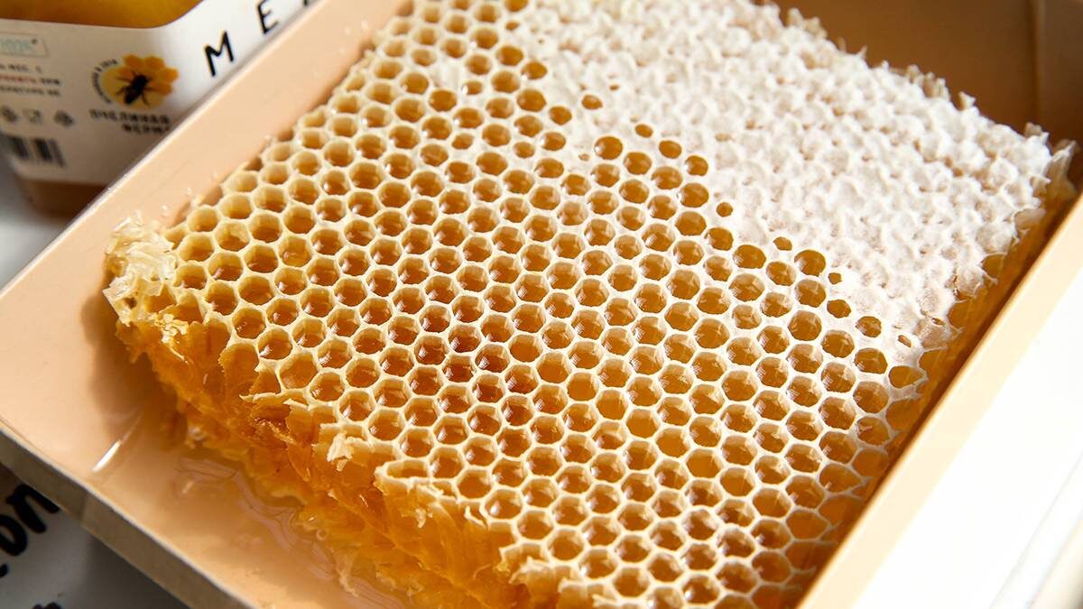    Фото: Василий Кузьмиченок / АГН Москва