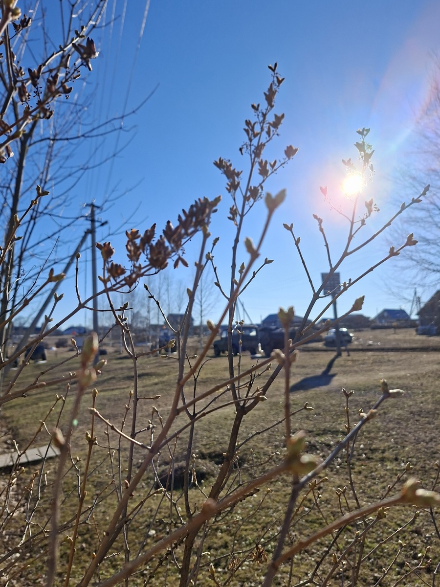 Фото автора 