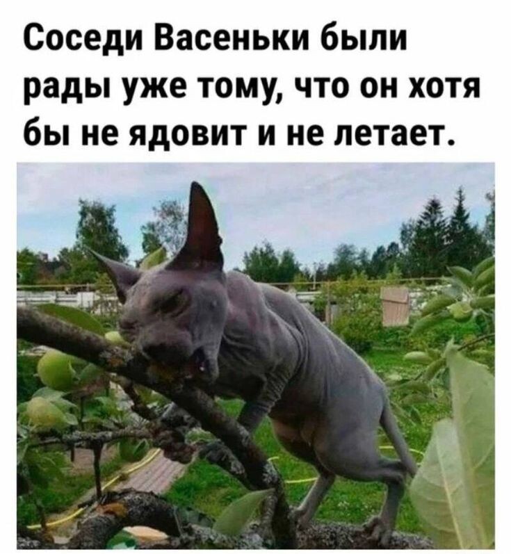 источник Яндекс-картинки