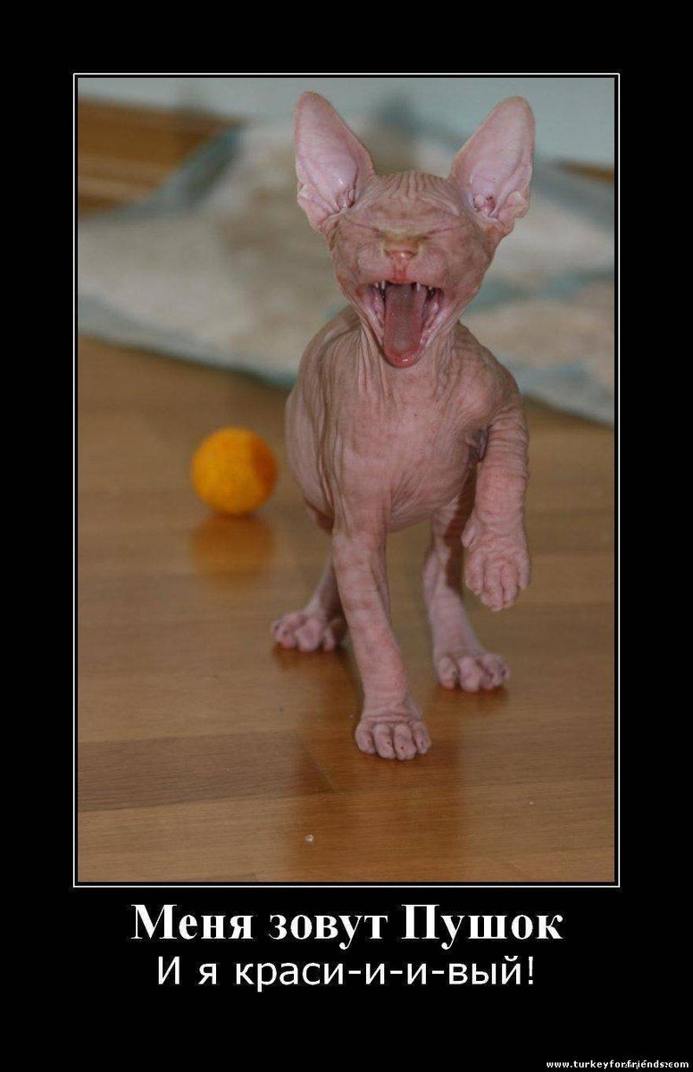 источник Яндекс-картинки