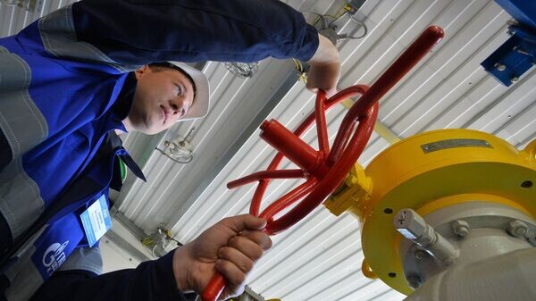    © РИА Новости . Максим Богодвид