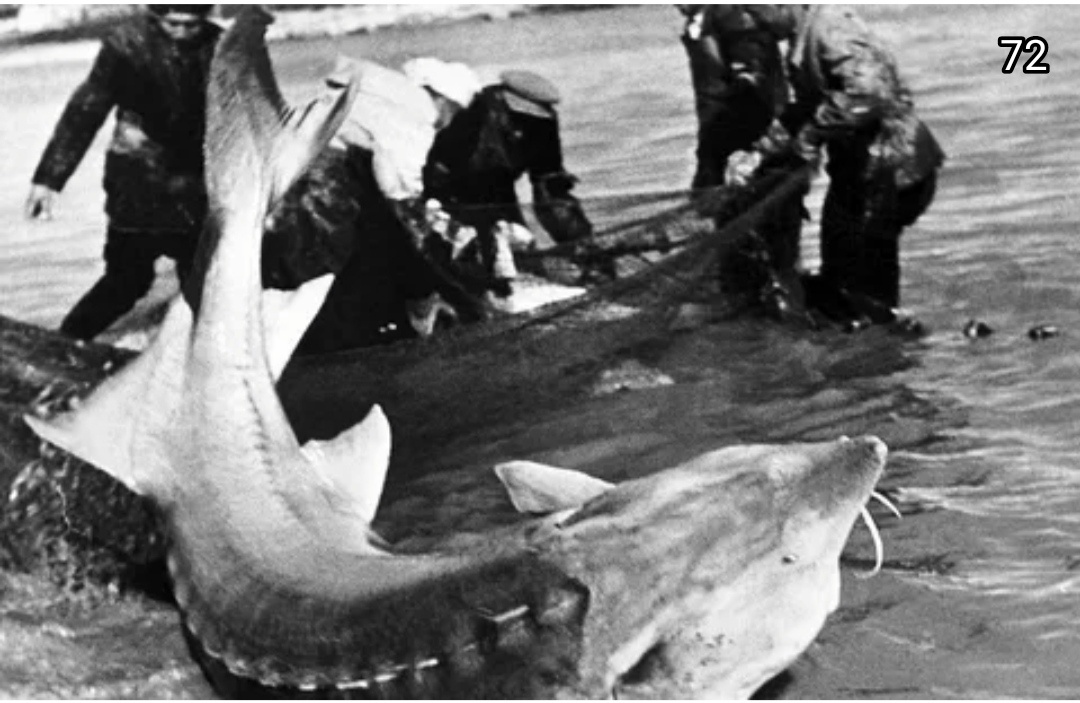 Фото: взято из Яндекс картинки. 