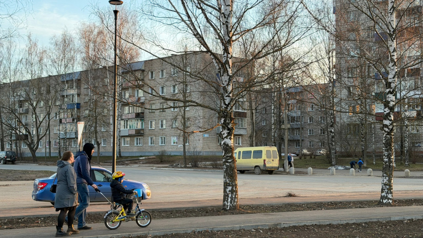    Фото progorod43.ru