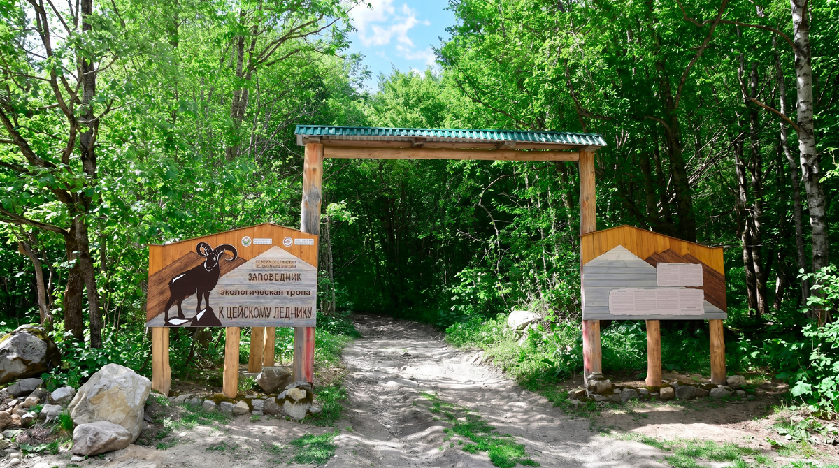 Фото-2. «Врата в ледяное царство: начало экотропы к Цейскому леднику»