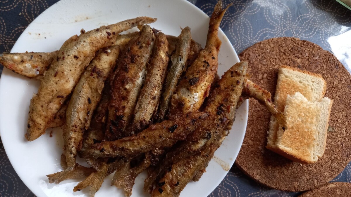   Евгений Богучарский / rosbalt.ru