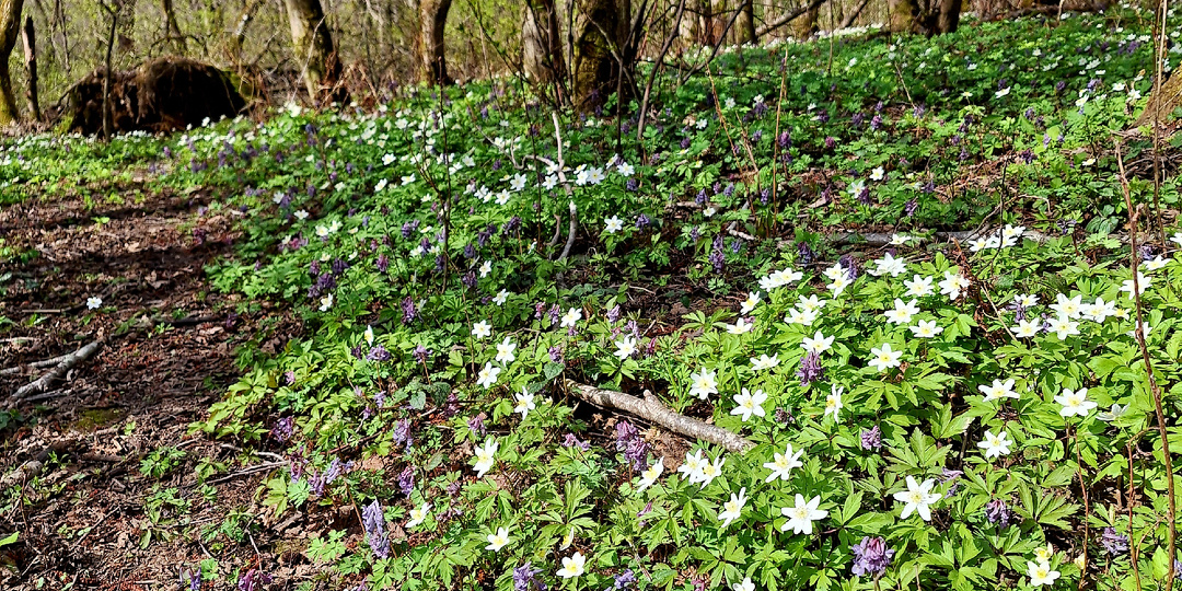 Странная медицина.