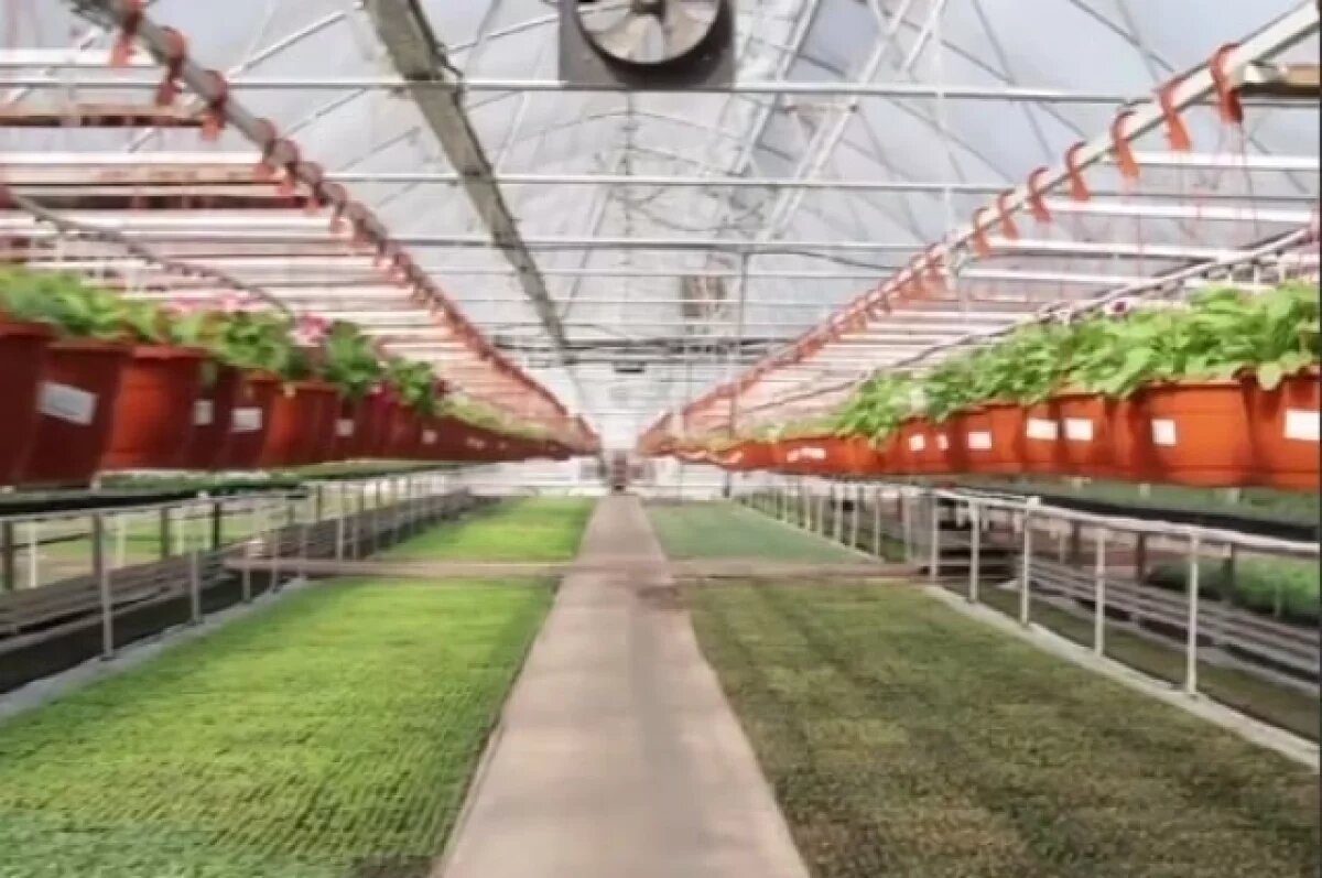    В Перми на центральных улицах высадят более одного миллиона цветов