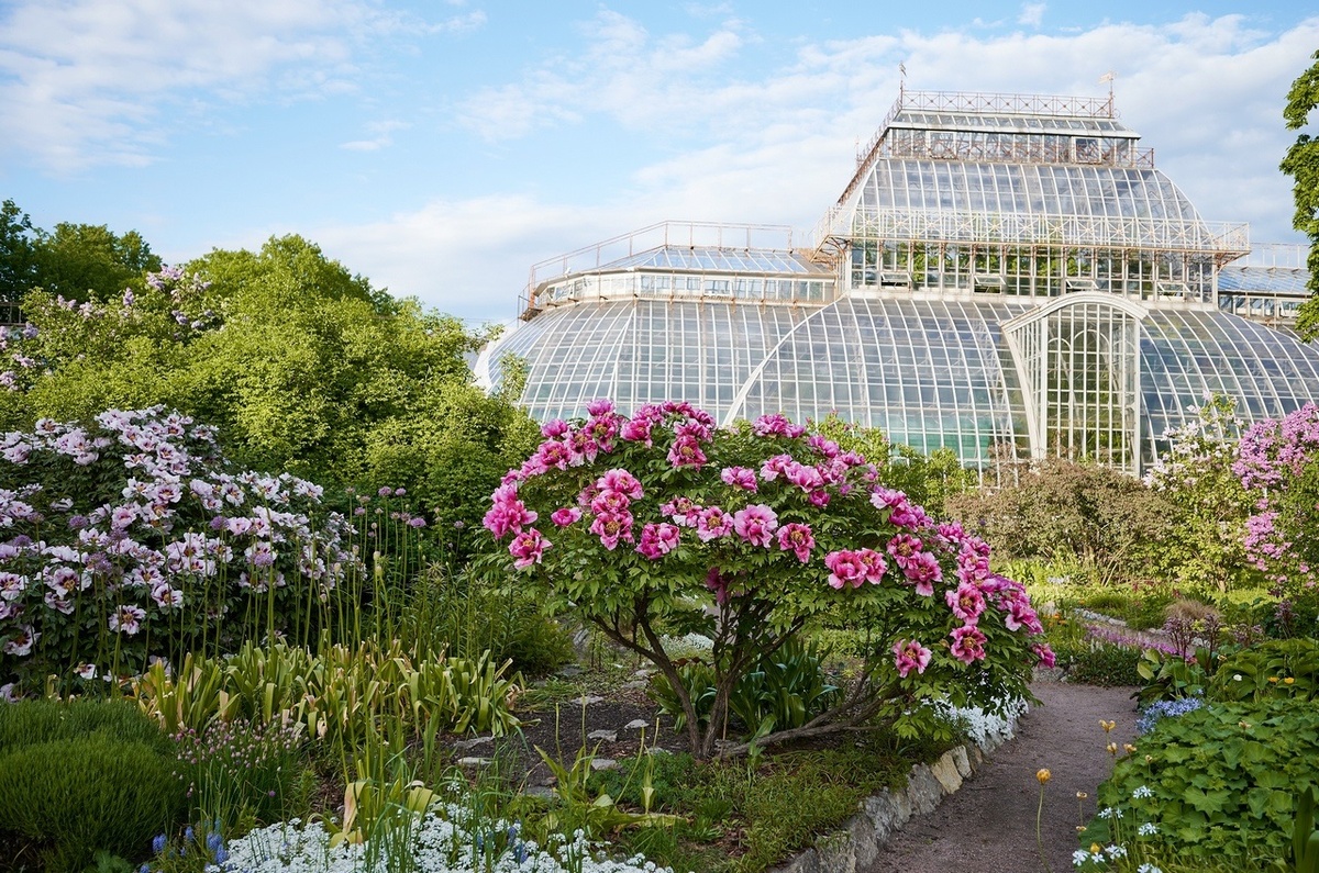 Ботанический сад Петра Великого в Санкт-Петербурге 