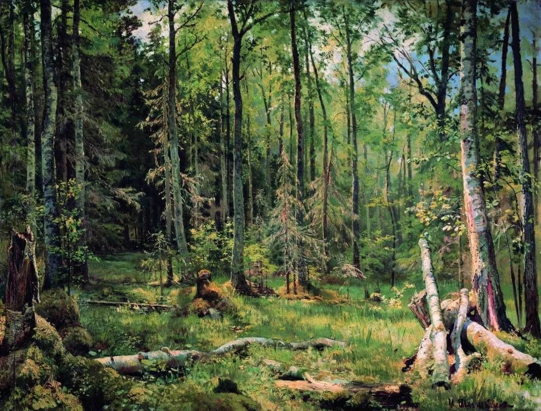     Иван Шишкин. Шмецк близ Нарвы. 1888   
undefined