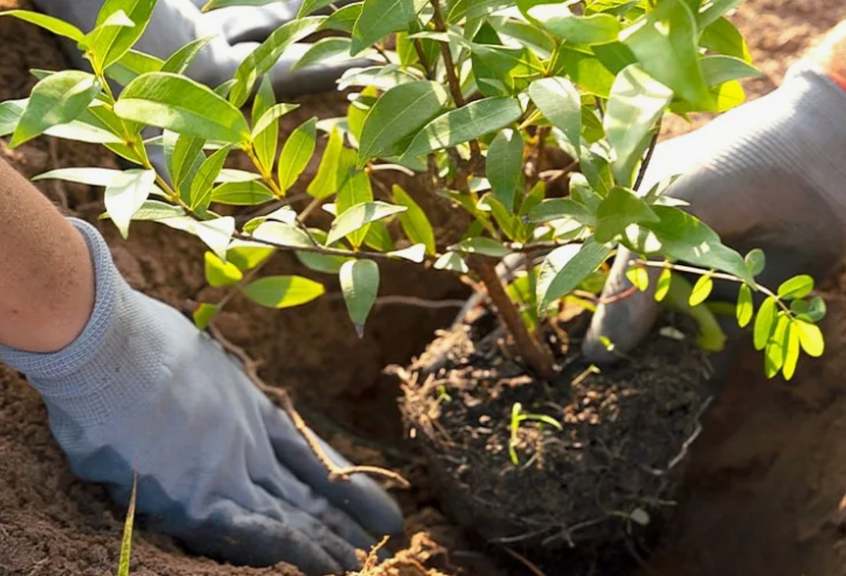 Источник фото: admnvrsk.ru