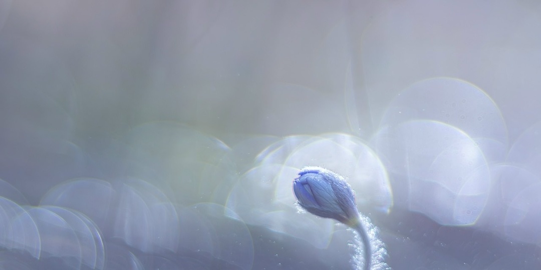 ФОТОГРАФ Дарья Остапенко | Россия