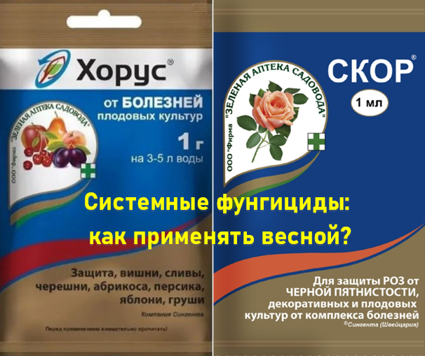 Системные фунгициды весной: особенности применения