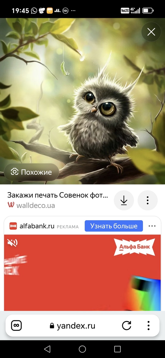 Картинка взята из интернета