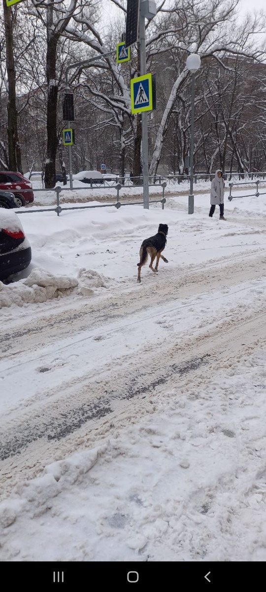 Наша первая встреча