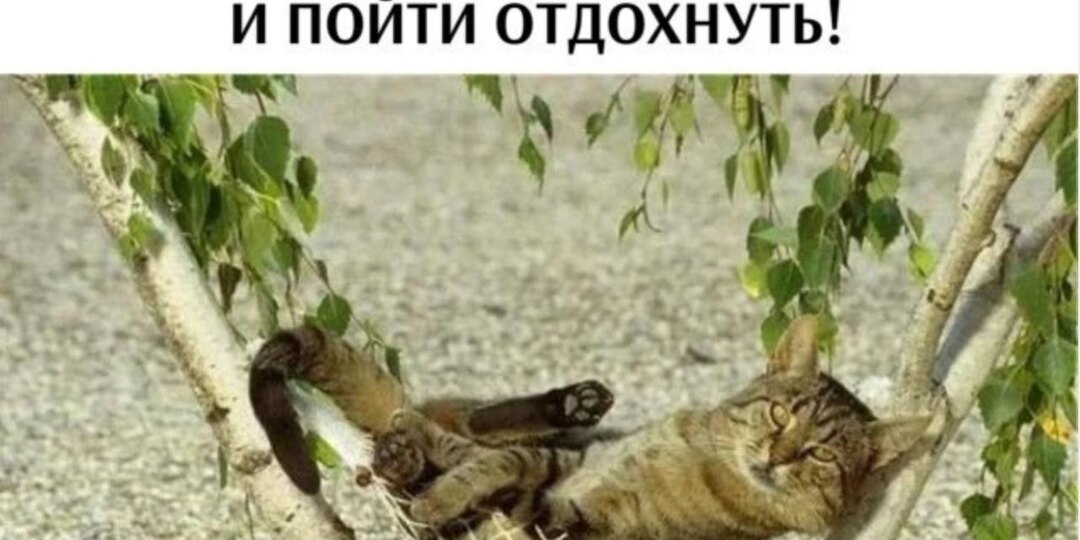 Скука разрушает любовь