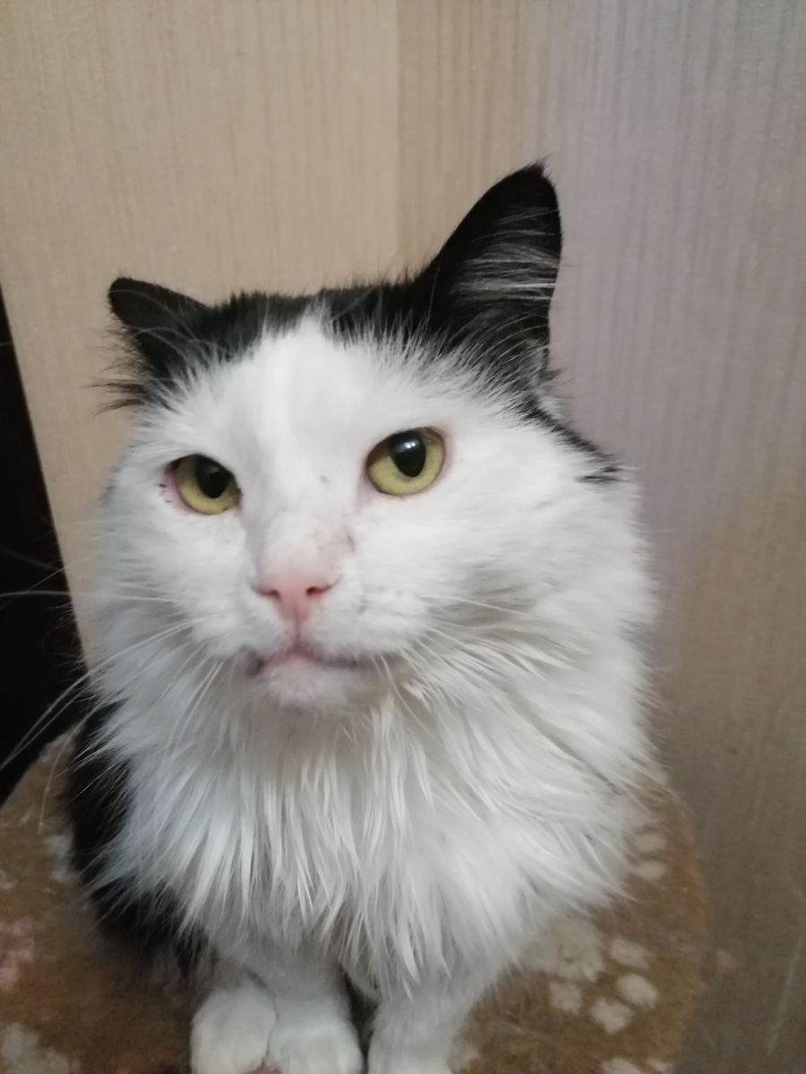 Лиза осуждает. 