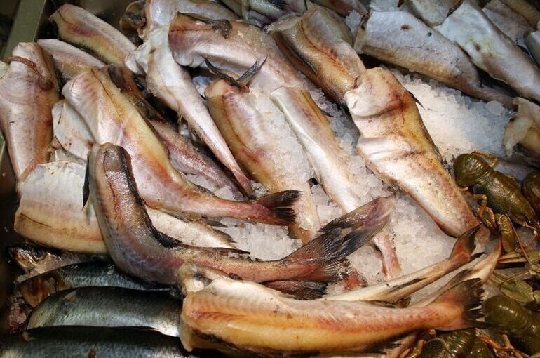   Елена Морозова/«Парламентская газета»