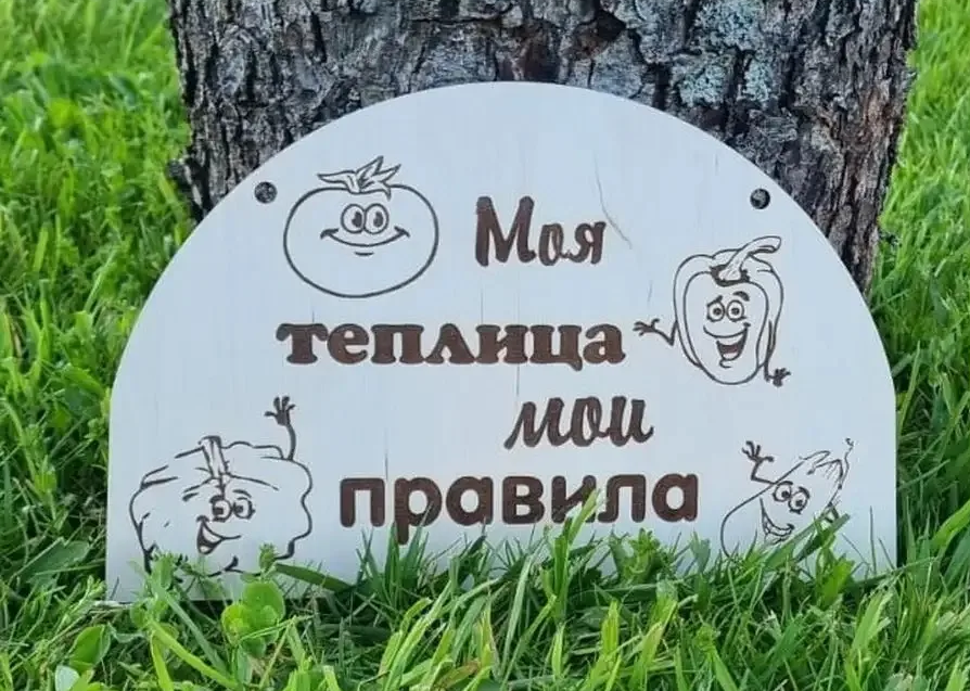 Картинка из открытых источников