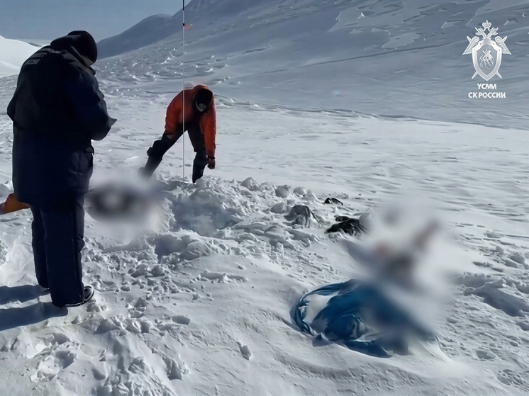     Фото: пресс-служба СК