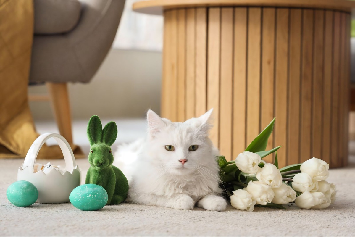    Алопеция у кошек часто связана с аллергией, стрессом или серьезными заболеваниями