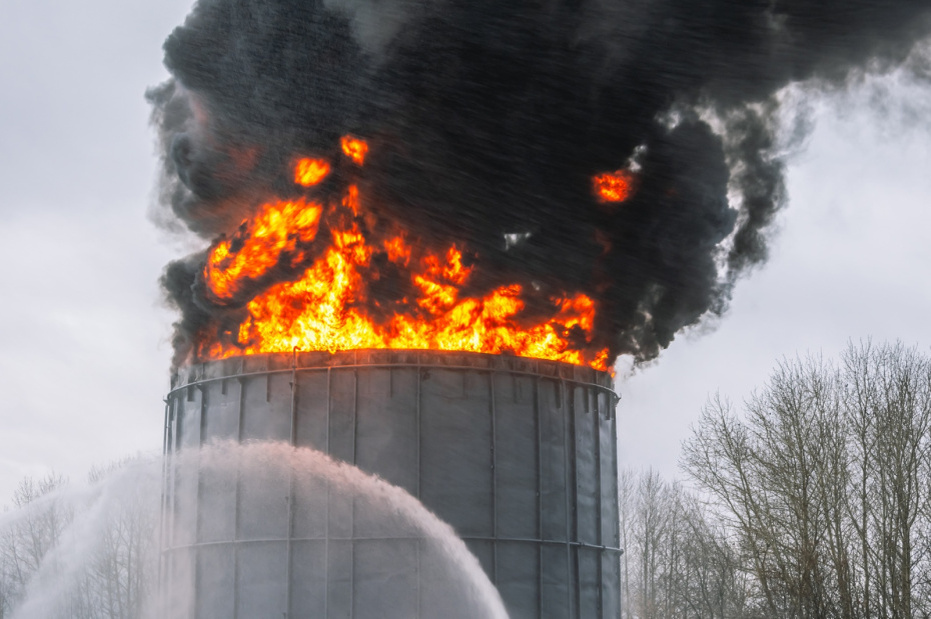    Shutterstock/FOTODOM