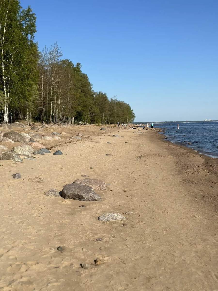 Экотропа «Комаровский берег»