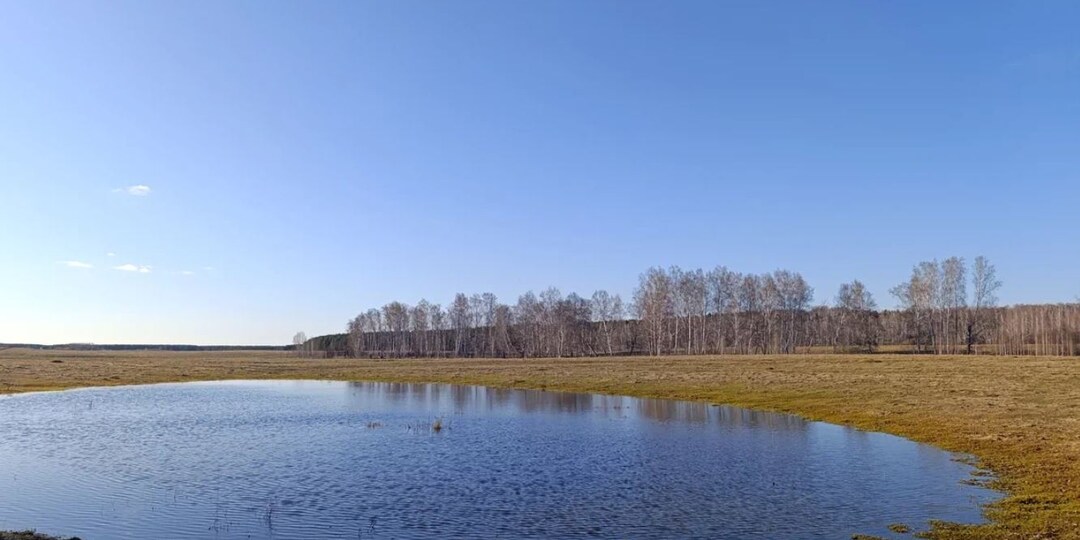 "Утро вечера мудренее" - говорю я себе всё чаще и чаще
